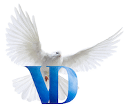  Vaidedigital